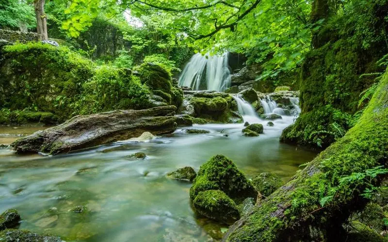 精密可靠性先进
